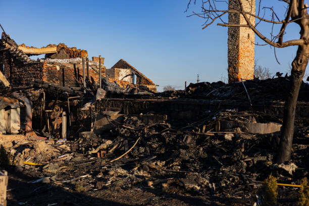 Reliable Content Restoration contractor in Annandale, MN by Fire Damage Doption
